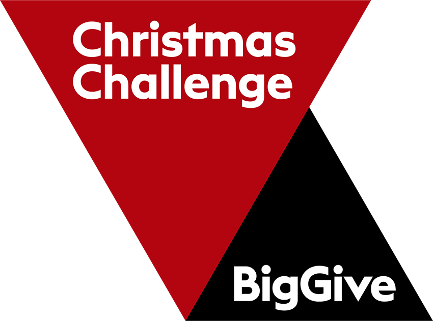 Big Give logo