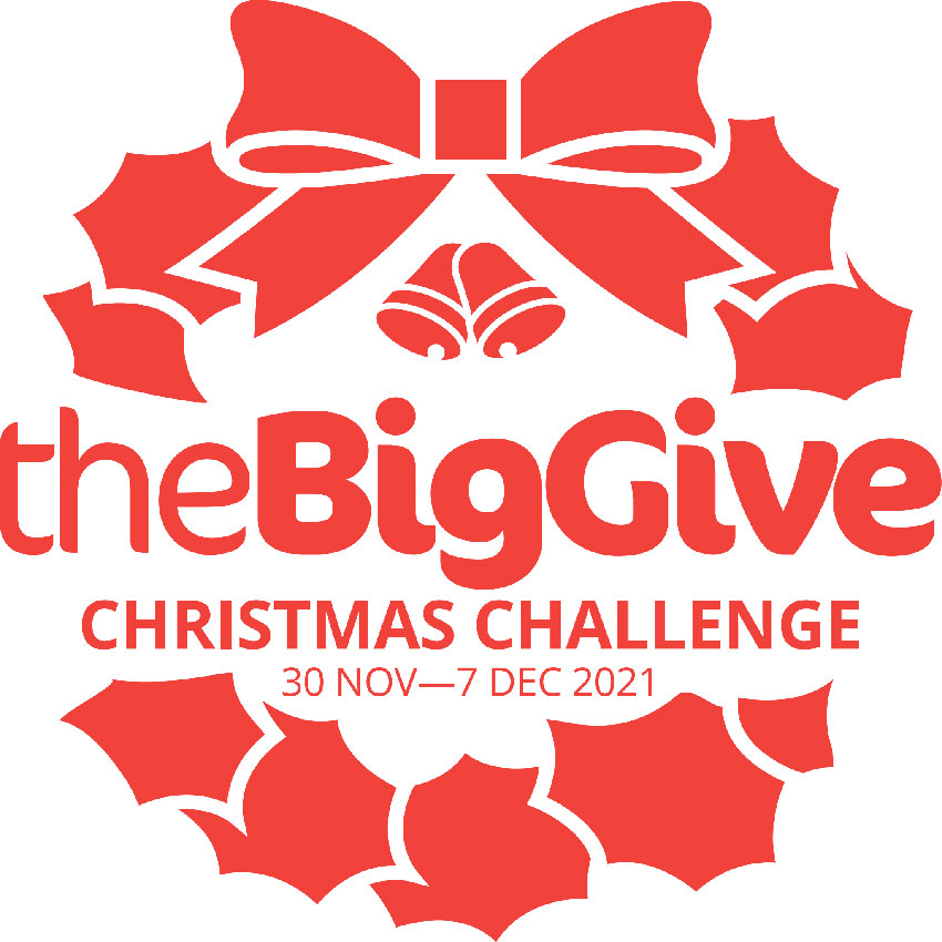 Big Give logo 2021