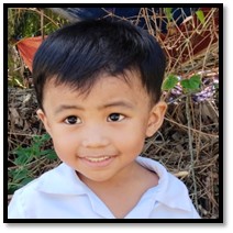 Alexander - Cashew 2026